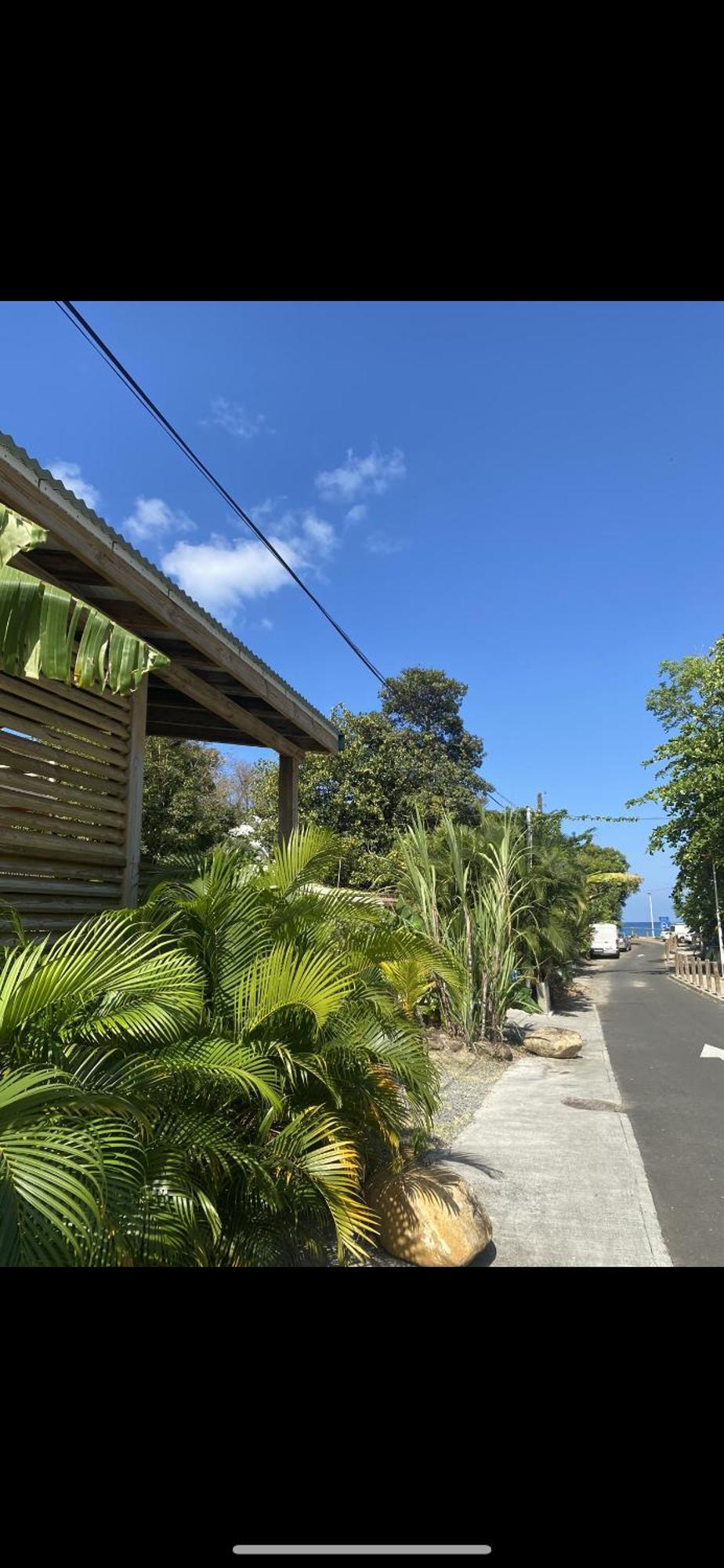 Charmant Bungalow Tout Confort Climatise - Terrasse Et Acces Plage ! Deshaies Extérieur photo